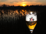 sunsetbier