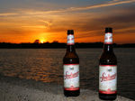sunsetbier